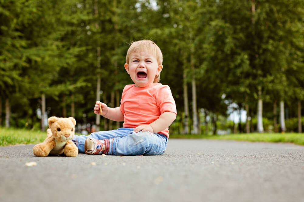 The ‘Terrible Twos’: How to Deal with Tantrums and Overcome Teribble 2s ...