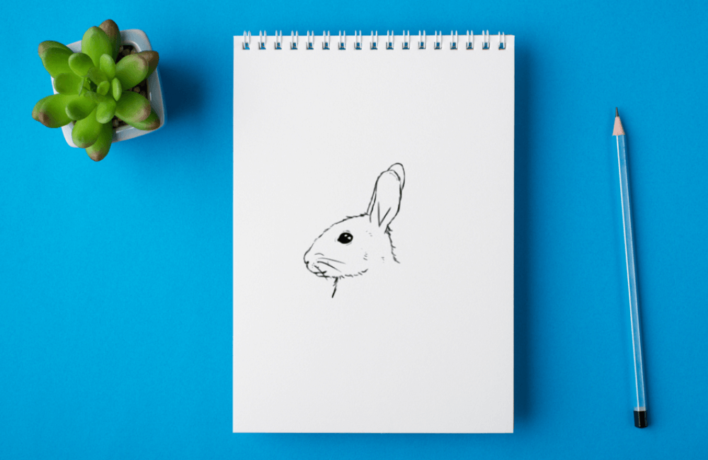 how to draw a rabbit face