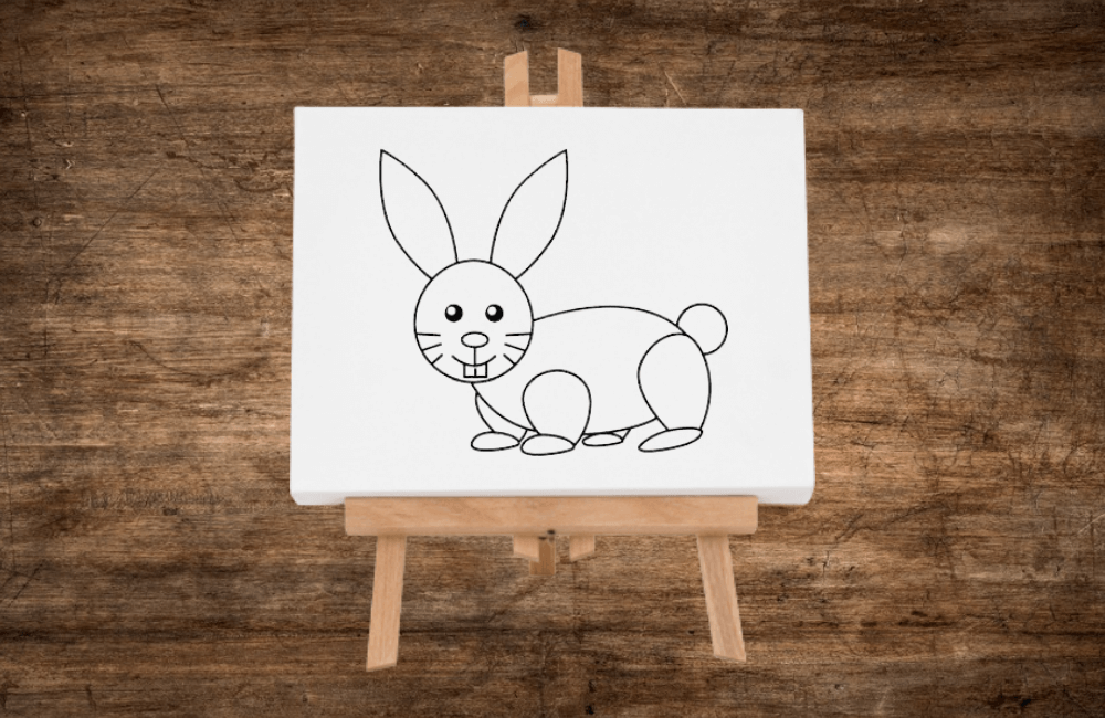 rabbit sketch