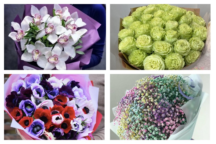 какие цветы подарить женщине на день рождения
