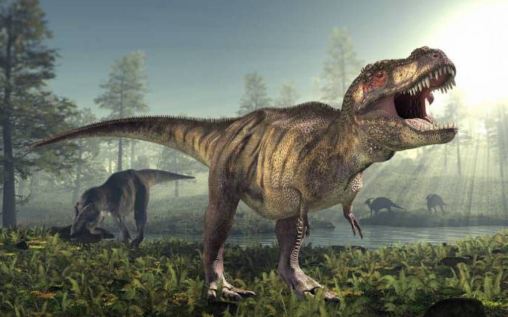 Самые большие, страшные, маленькие и необычные динозавры за историю Земли