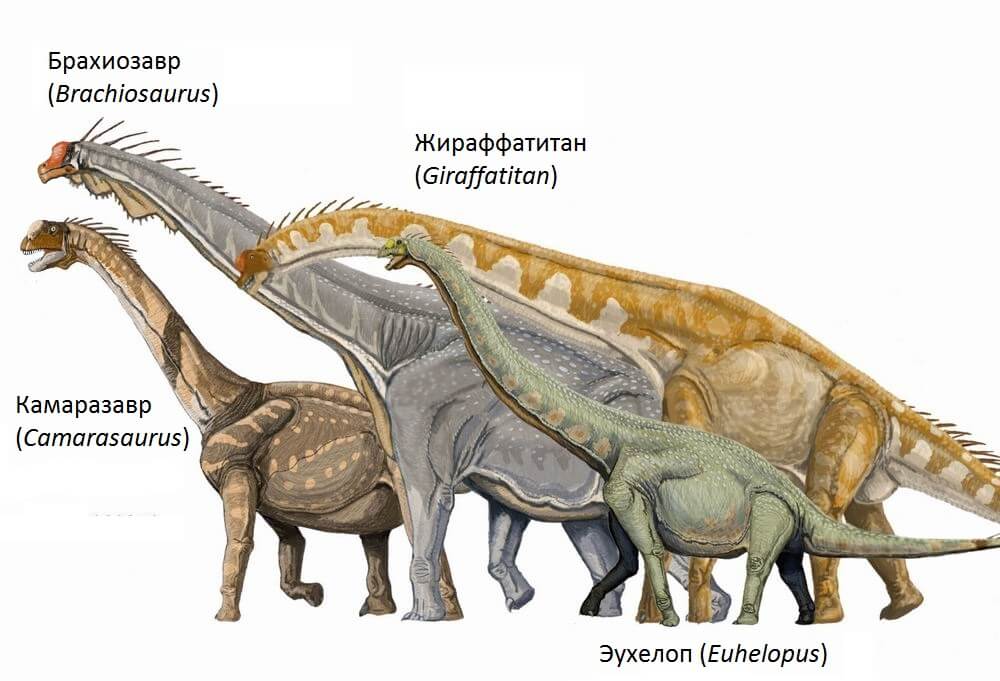 виды динозавров фото и названия