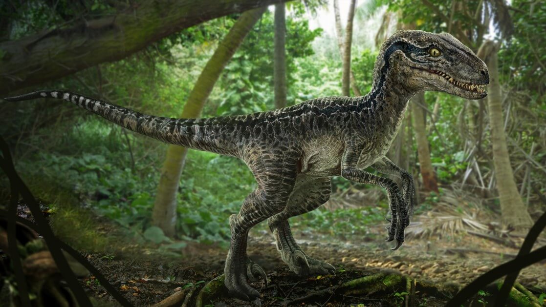 Виды и названия динозавров ✅ Блог fitdiets.ru