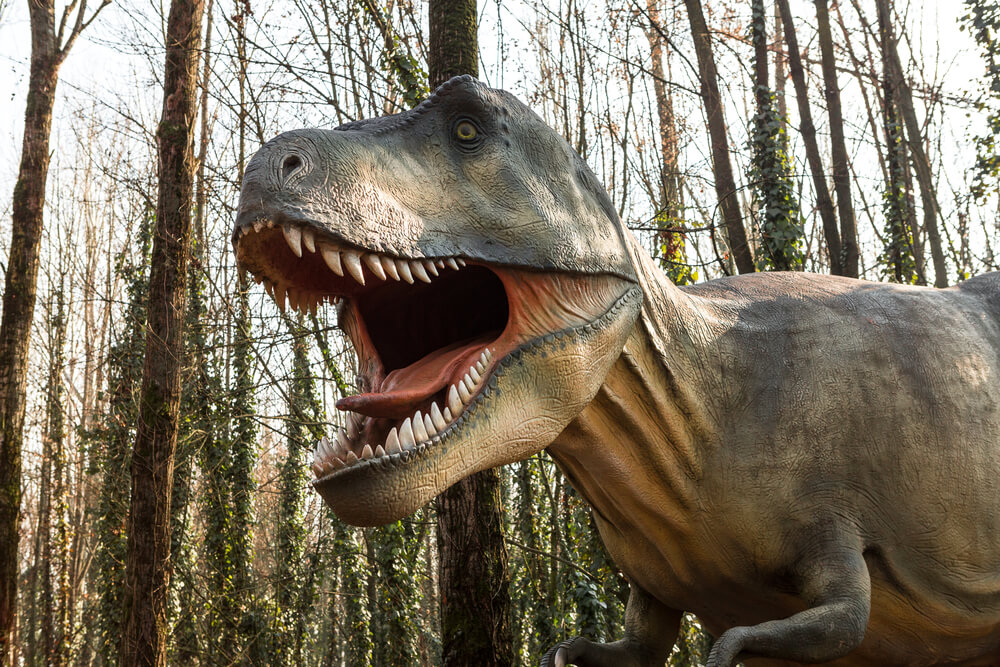 Энциклопедия динозавров: кого мы увидим в «Мире юрского периода»