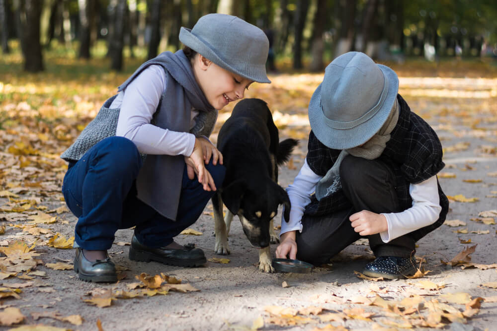 toddler outdoor scavenger hunt