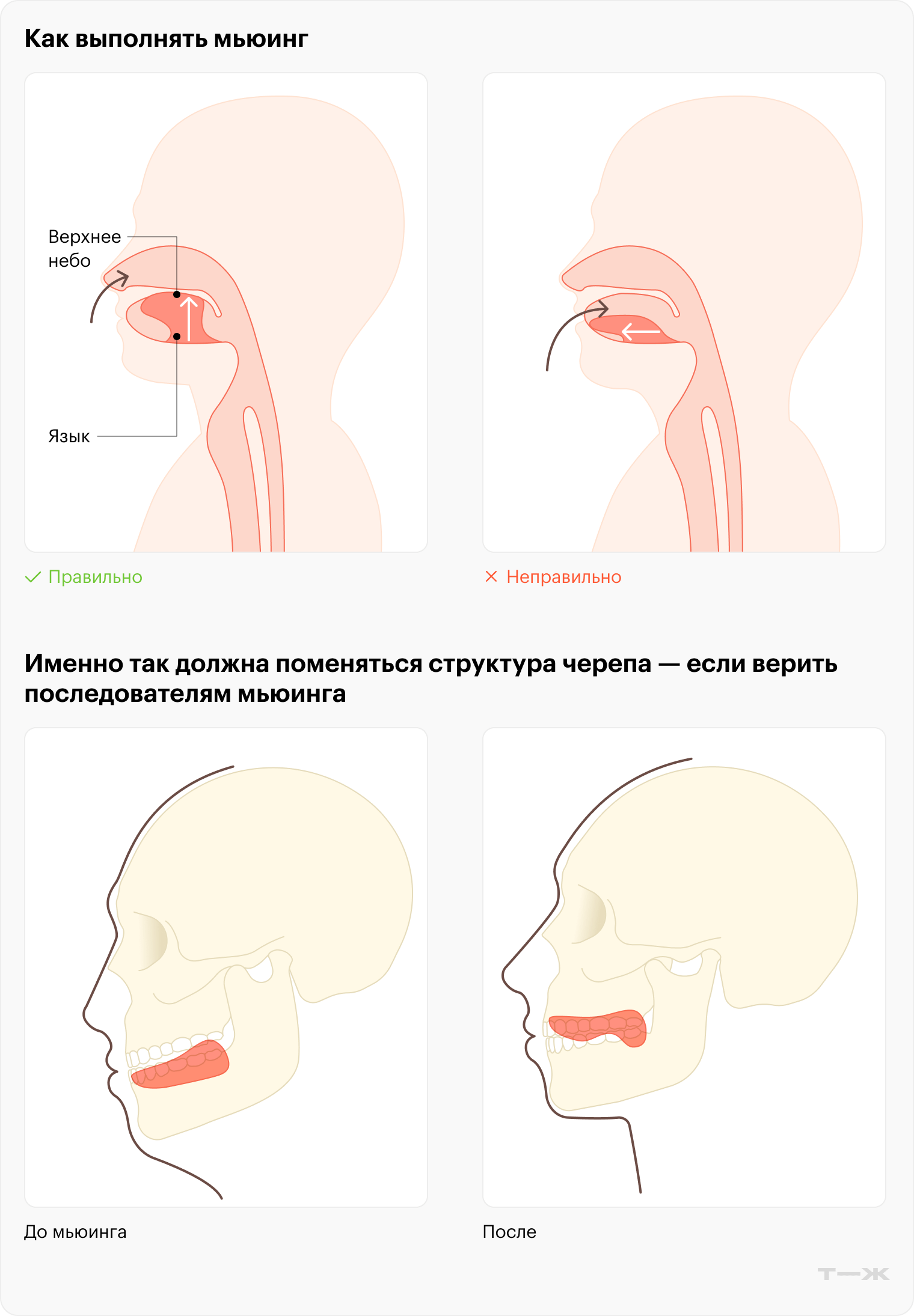 мьюинг упражнения для лица