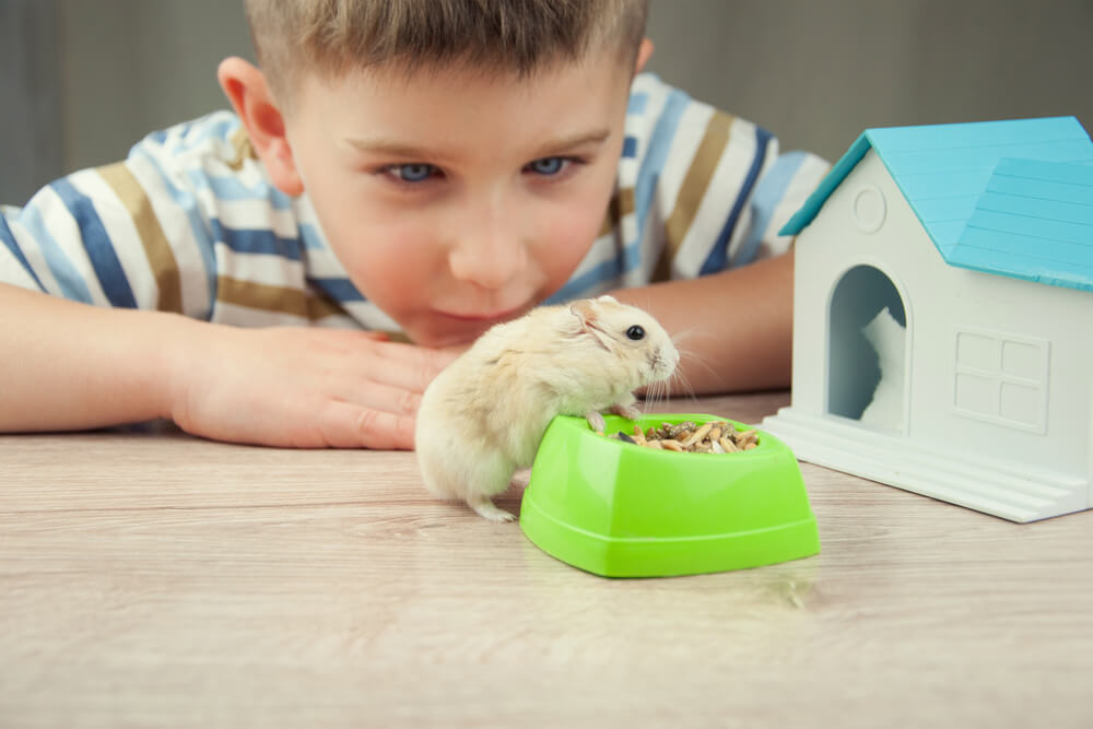 best small pets for kids